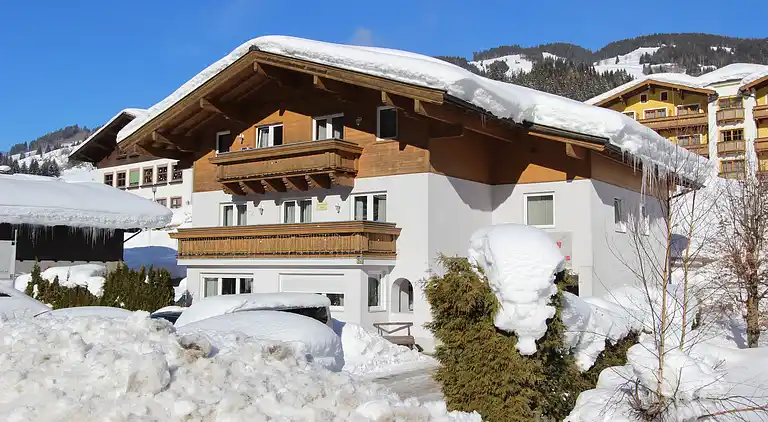 Apartment in Viehhofen