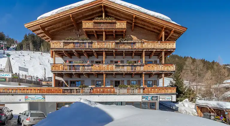 Apartment in Mittersill