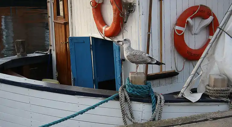 Ferielejlighed i Lischow