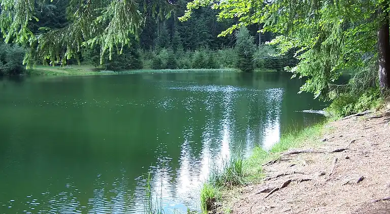 Sommerhus i Wetzelsgrün