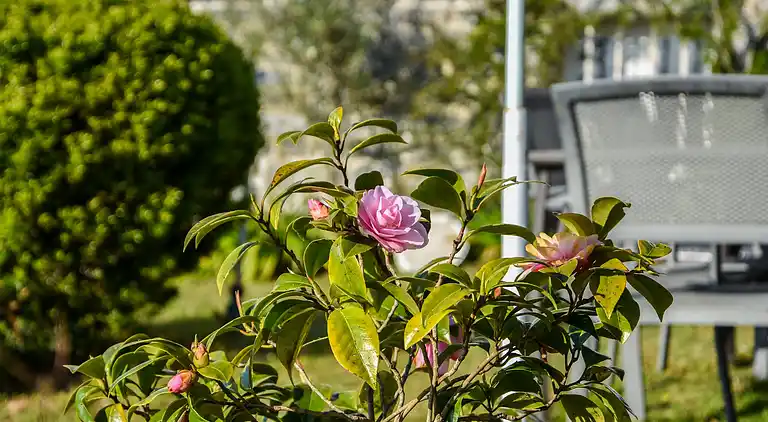 Holiday home in Erquy