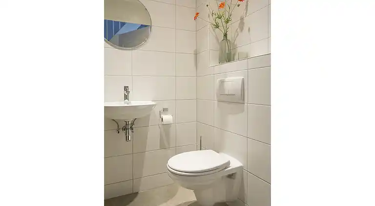 Boerderij in De Cocksdorp