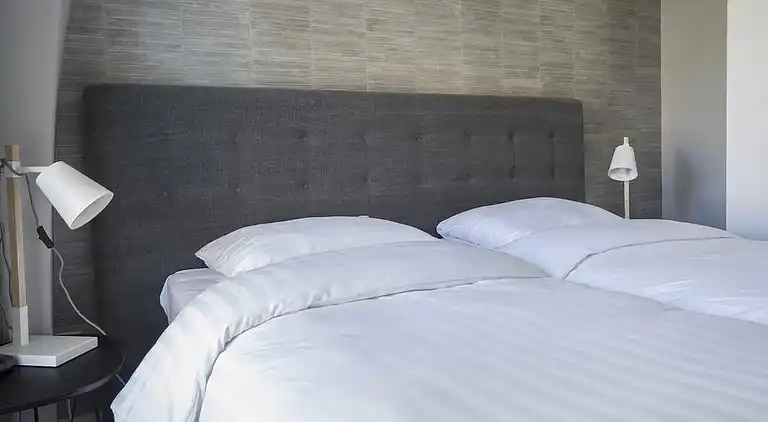 Boerderij in De Cocksdorp