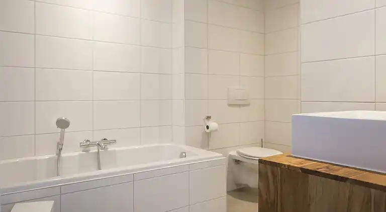 Boerderij in De Cocksdorp