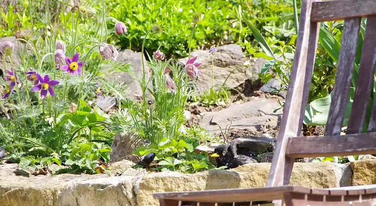 Apartamento en Mülsen Sankt Jacob