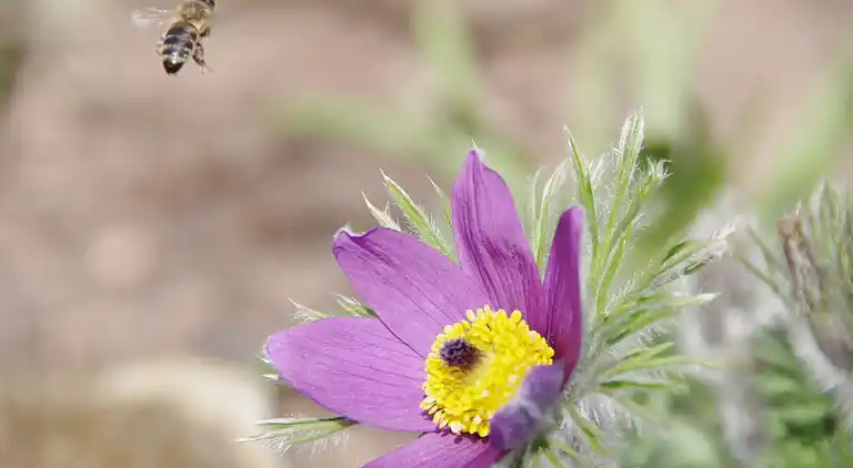 Apartamento en Mülsen Sankt Jacob