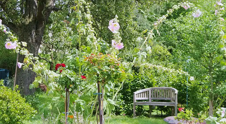 Apartamento en Mülsen Sankt Jacob