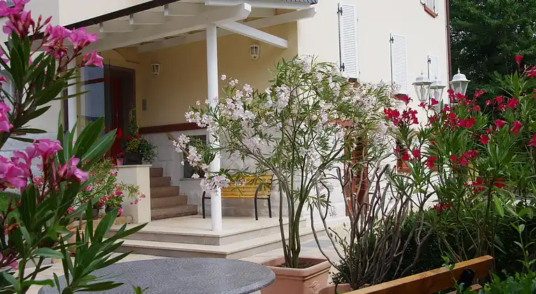 Apartamento en Mülsen Sankt Jacob