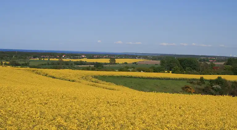 Ferielejlighed i Kägsdorf