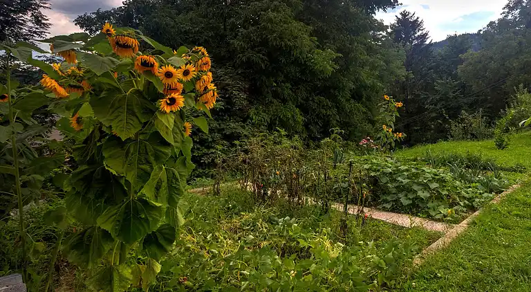 Ferielejlighed i Ribno