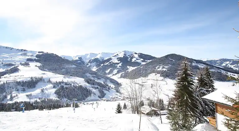 Apartment in Maria Alm