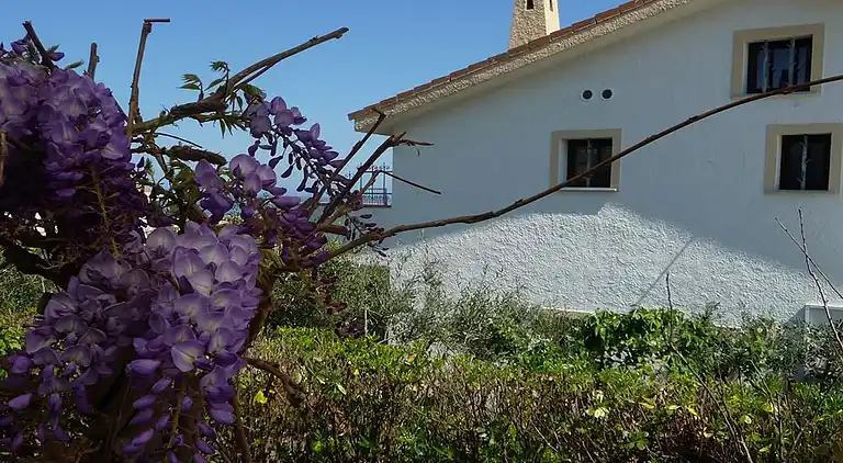 Sommerhus i Lu Bagnu
