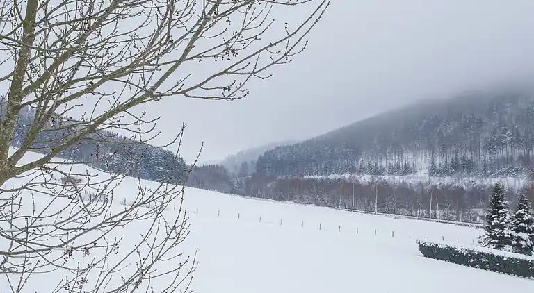 Ferielejlighed i Niedersfeld