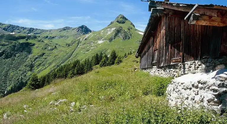 Apartment in Hinterglemm
