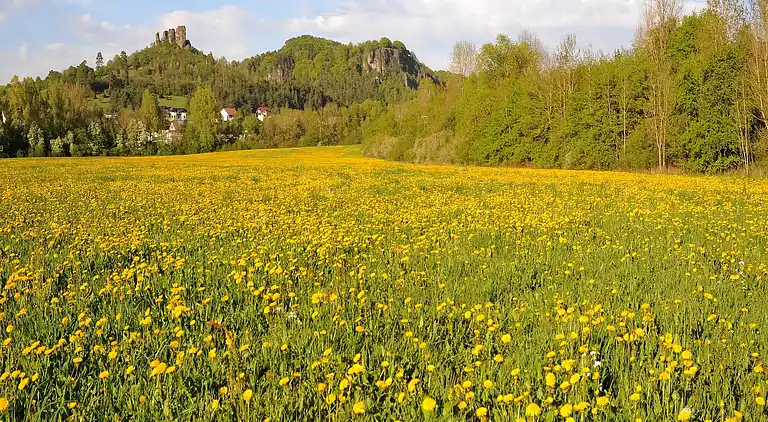 Hytte i Ferienhausgebiet Hillenseifen