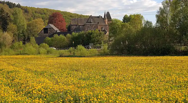 Hytte i Ferienhausgebiet Hillenseifen