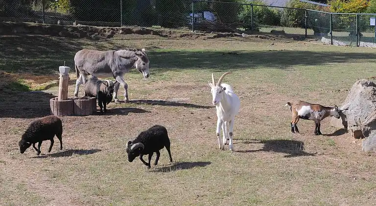 Hytte i Ferienhausgebiet Hillenseifen