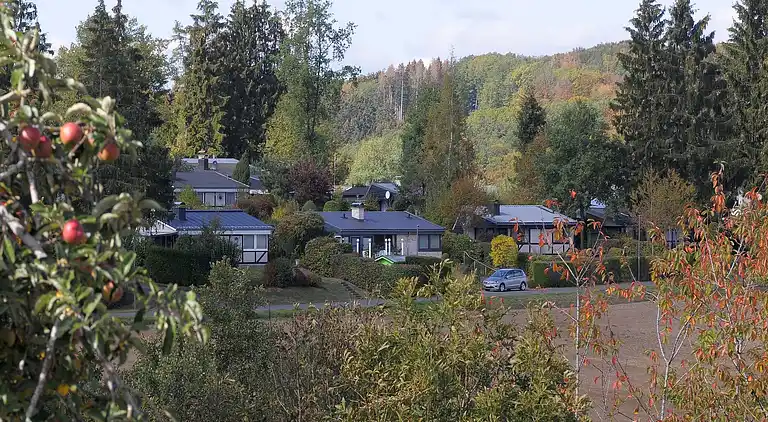 Hytte i Ferienhausgebiet Hillenseifen