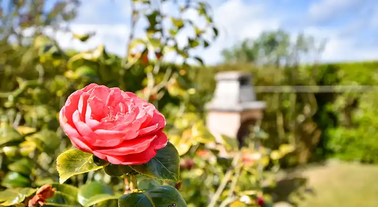 Semesterbostad i Plourin