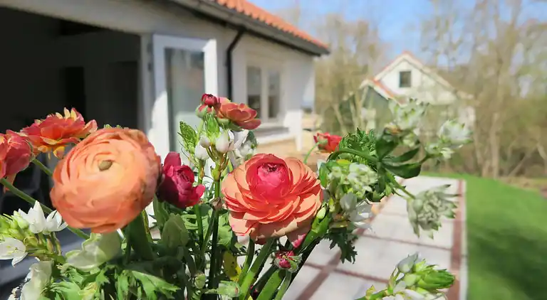 Sommerhus i Koudekerke