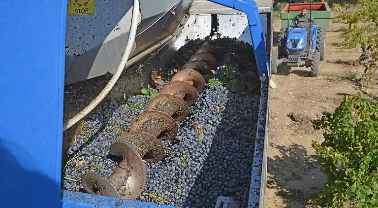 Villa in Languedoc-Roussillon