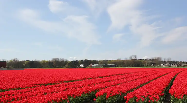 Farm house in Lutjewinkel