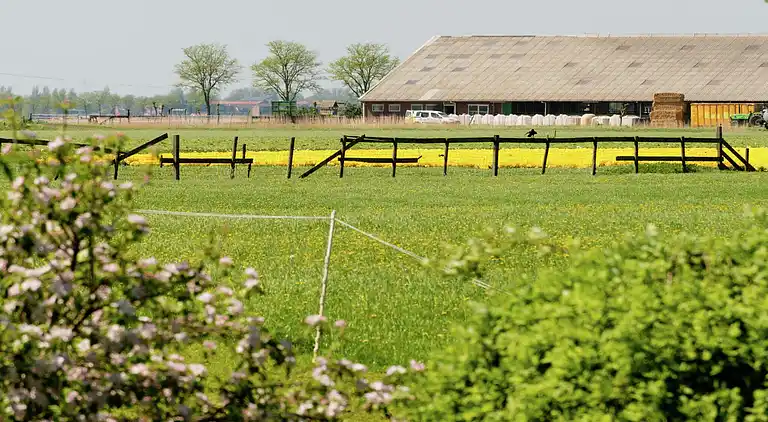Farm house in Lutjewinkel