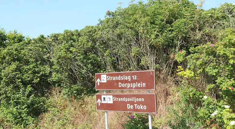 Farm house in Lutjewinkel