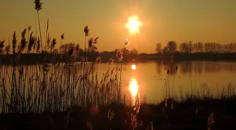 Cottage in Goedereede