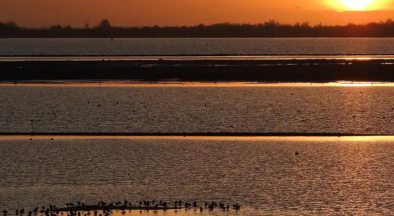 Cottage in Goedereede