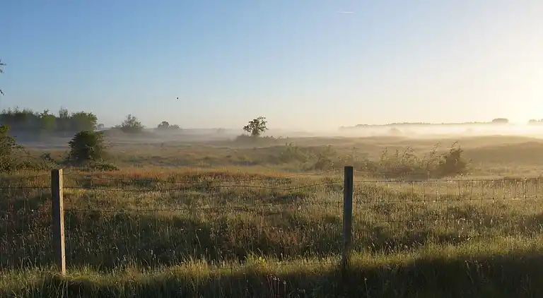 Sommerhus i Zuid-Holland