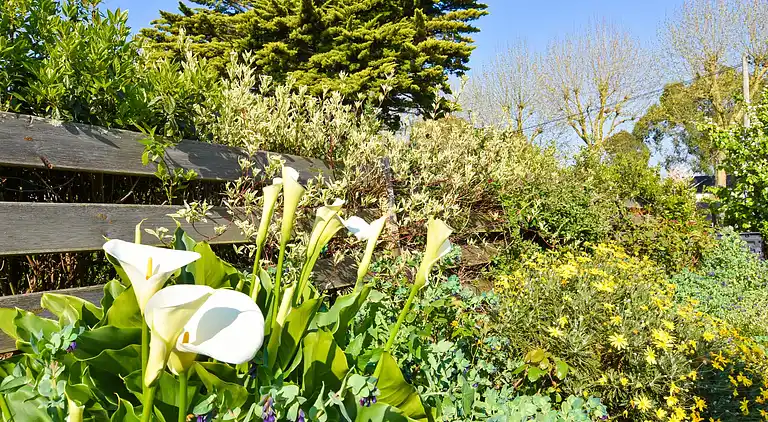 Holiday home in Locmiquélic