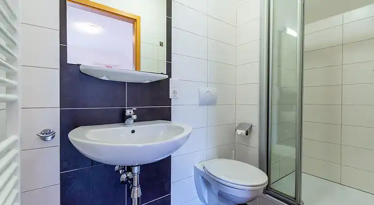 Cottage in Obertraun