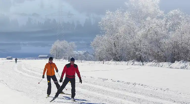 Ferielejlighed i Hollersbach im Pinzgau