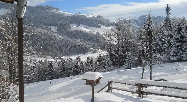 Cottage in Gränzing