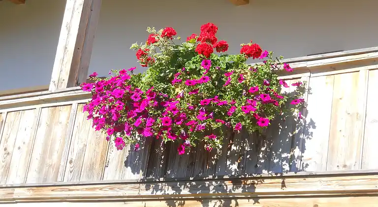 Cottage in Gränzing