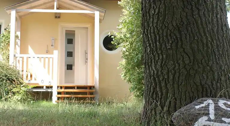 Apartment in Dumsevitz