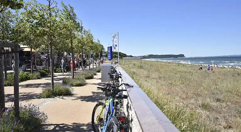 Apartment in Dumsevitz