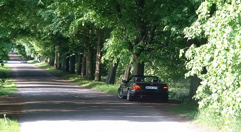 Apartment in Dumsevitz