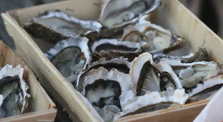 Holiday home in Tourch