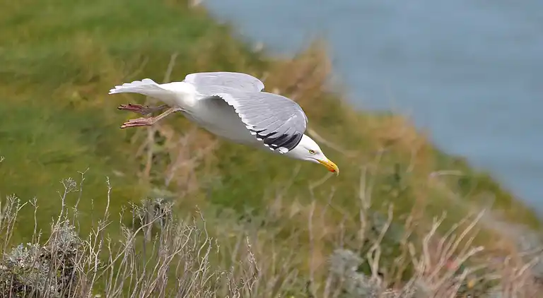 Holiday home in Tourch