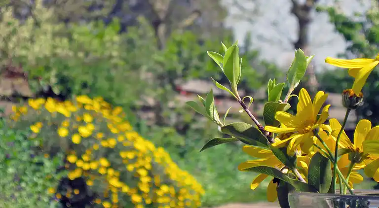 Holiday home in Locmiquélic