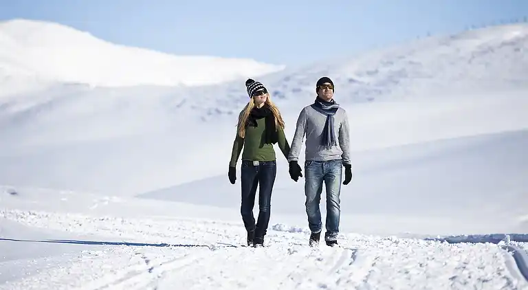 Cottage in Oberkrimml