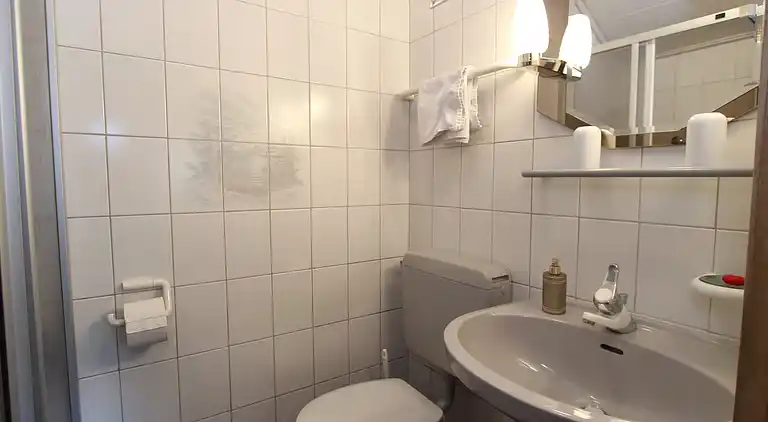 Ferielejlighed i Hollersbach im Pinzgau