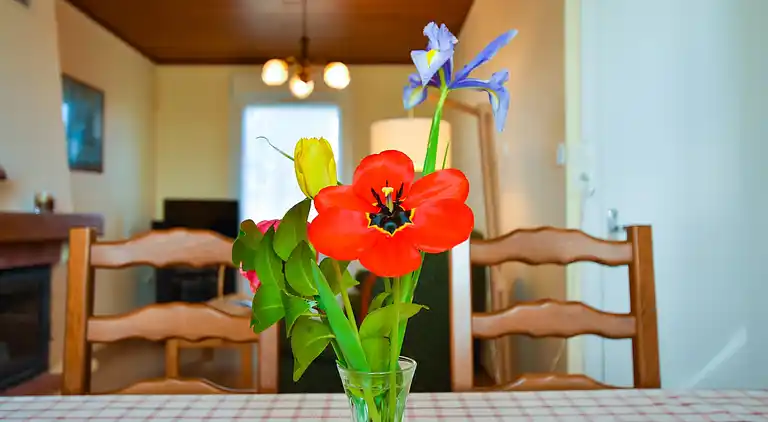 Holiday home in Saint-Nic