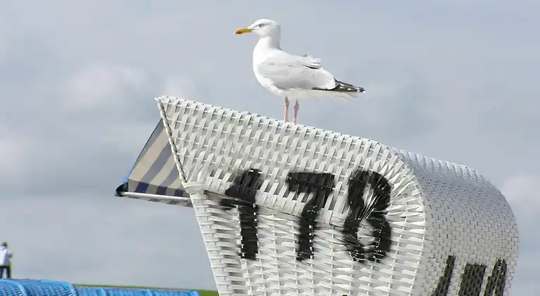 Sommerhus i Börgerende