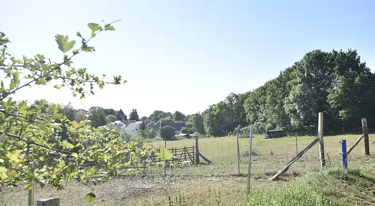 Holiday home in Carinerland