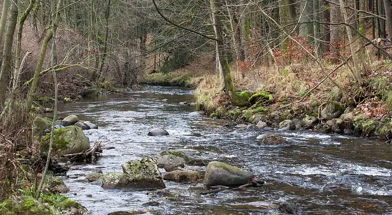Ferielejlighed i Dreislar