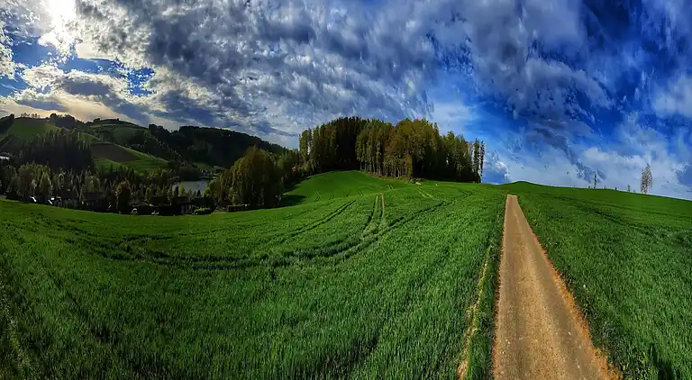 Sommerhus i Feriendorf Hennesee