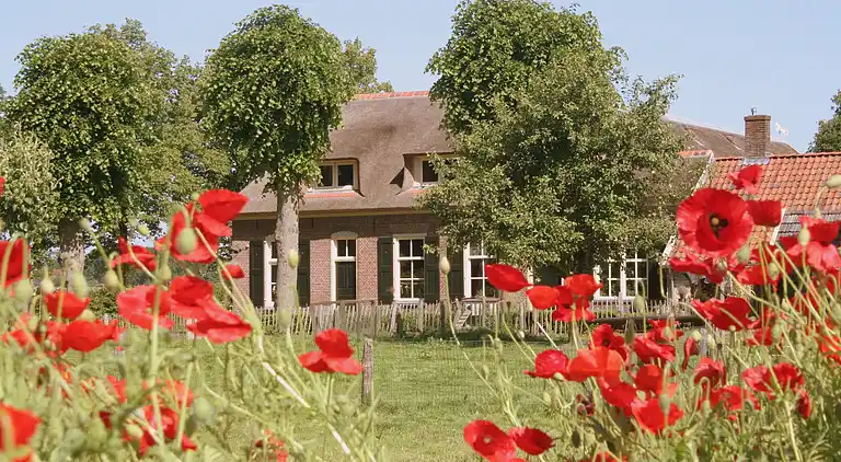 Boerderij in Luttenberg